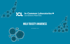 Mold AWARENESS Website header image